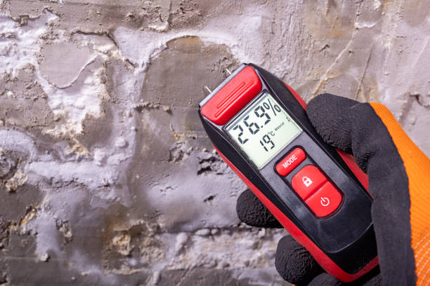 Best Residential Mold Remediation in Grapevine, TX