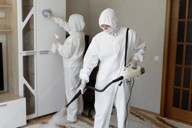 Best Post-Flood Mold Remediation in Grapevine, TX