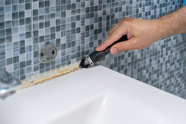 Best Black Mold Remediation in Grapevine, TX