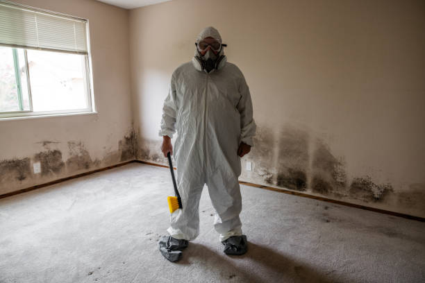 Best Commercial Mold Remediation in Grapevine, TX